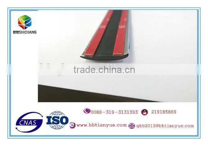 Car Decoration Moulding trim strip line