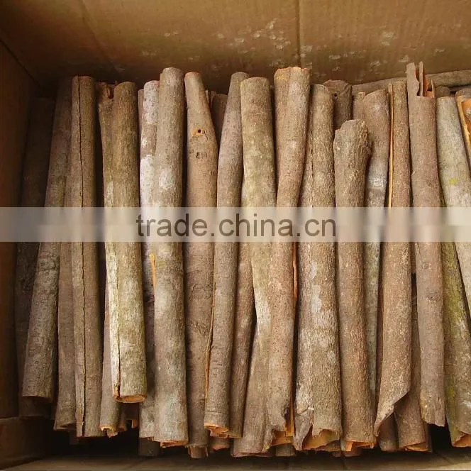 China factory wholesale cassia new technology product in china