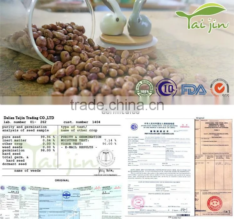 New arrival borlotti bean market price