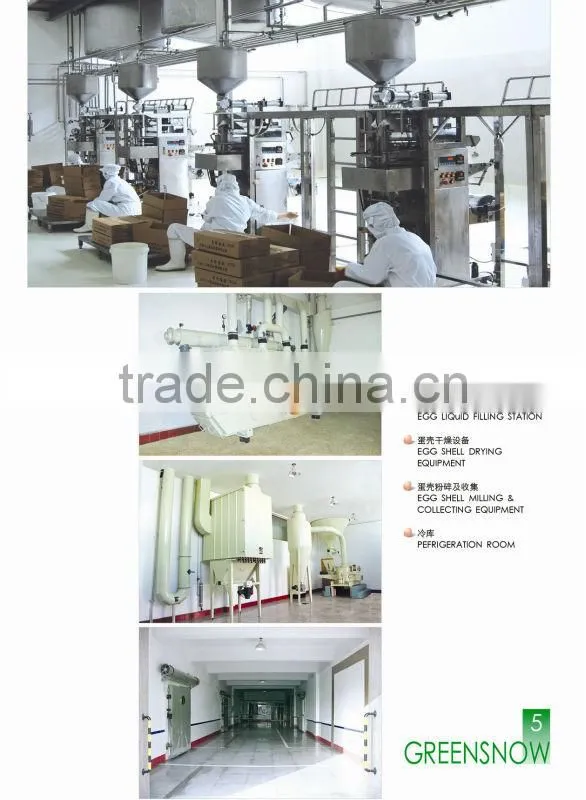 Whole Egg Powder (egg powder,dried whole egg powder)