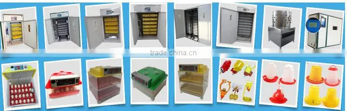 Full automatic eggs incubator hatching chicken eggs (9856 eggs)