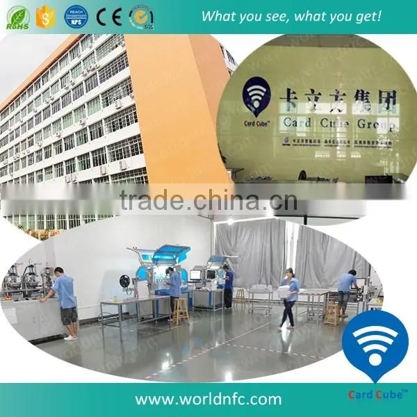Customize Logo Watermark Security Plastic ID Card