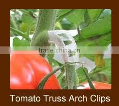14.5cm Plastic Vegetable Seeder For Garden