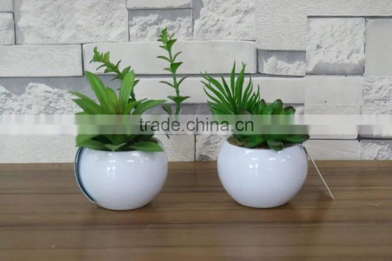 plastic mini succulent plants arrangement in pot