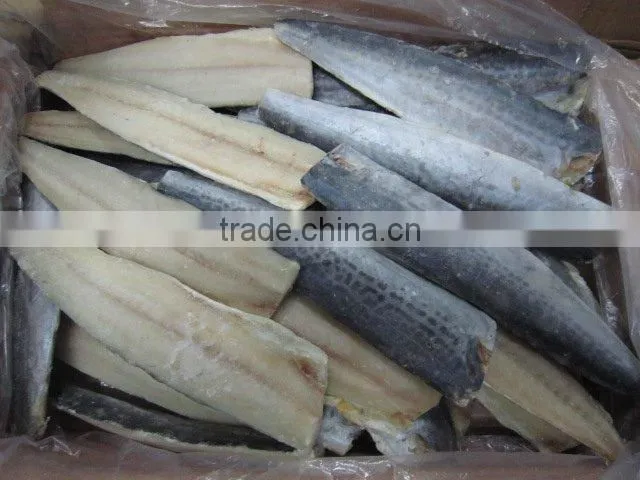 frozen mackerel fish 100-200g