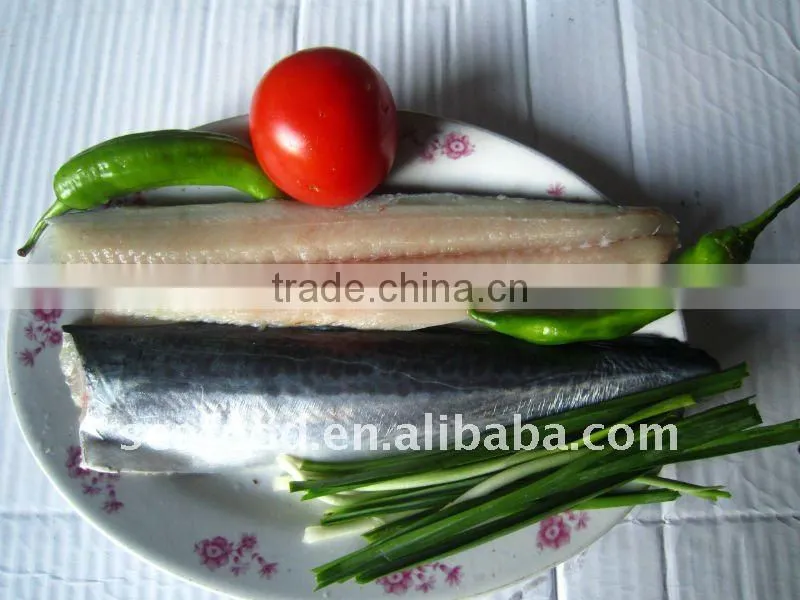 IQF spanish mackerel section skin-on
