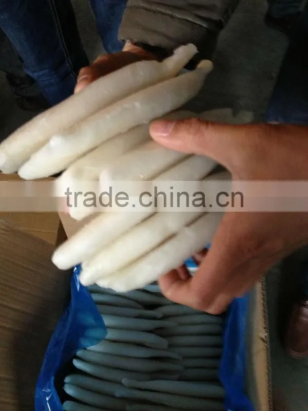 Frozen Squid Tube