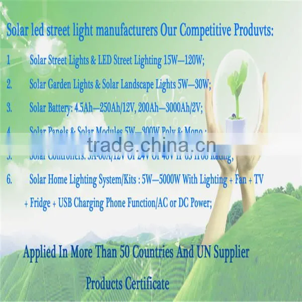 Alibaba Trade Assurance Golden Manufacturer 40W Hot Sale Propasal LED Solar Street Lght Components