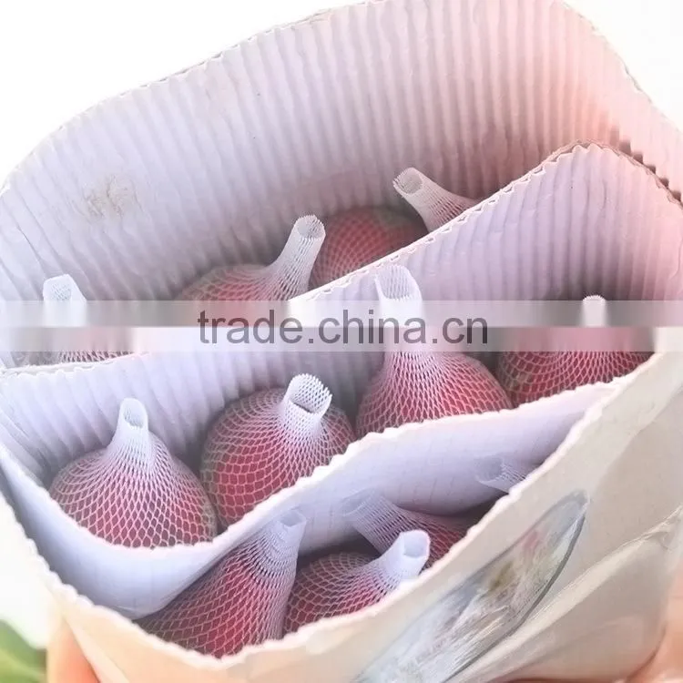 Best quality Carola cool beauty rose for weddings