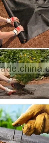 non woven frost protection blanket manufacturer
