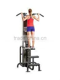 Assited Chin Up/Dip TZ-6019