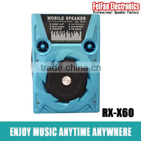 Top Sale 6.5 Inch Wifi Speaker With Fm Radio