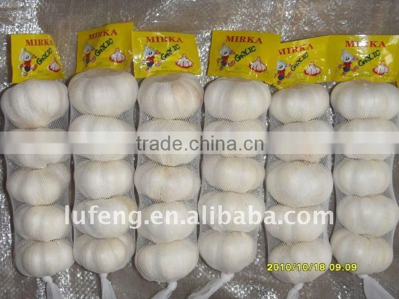 Pure white garlic