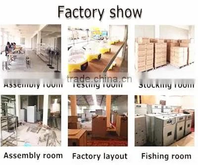 High quality poultry Incubator for sale hatching 56 eggs incubator
