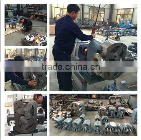 Stainless steel lobe pump with small vibration and low noise