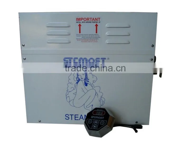 Home use wet steam factory produce OEM accepted mini steam generator