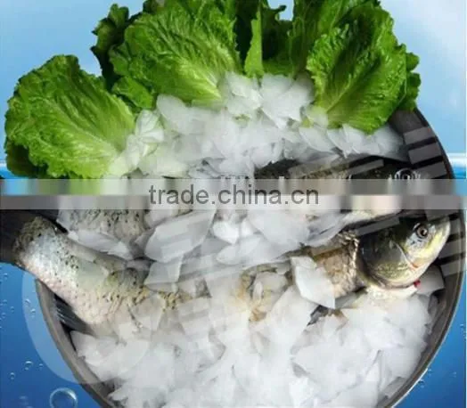 flake ice machine, ice flake machine low price for sale 0.5T to 30 tons per day