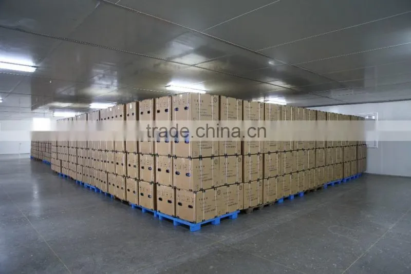 3 ply non woven face mask with CE and ISO Certificates