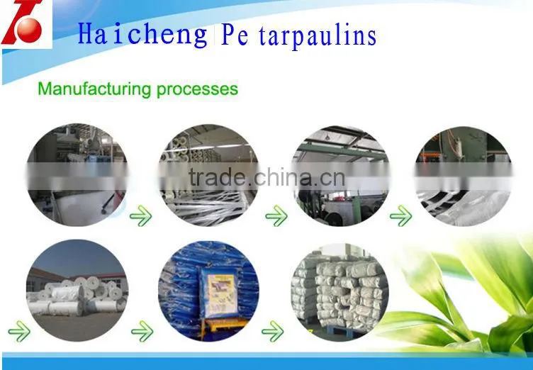 PE/PP Tarpaulin With Eyelets
