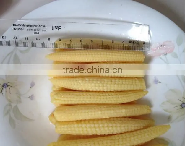 Canned bady corn manufacturer