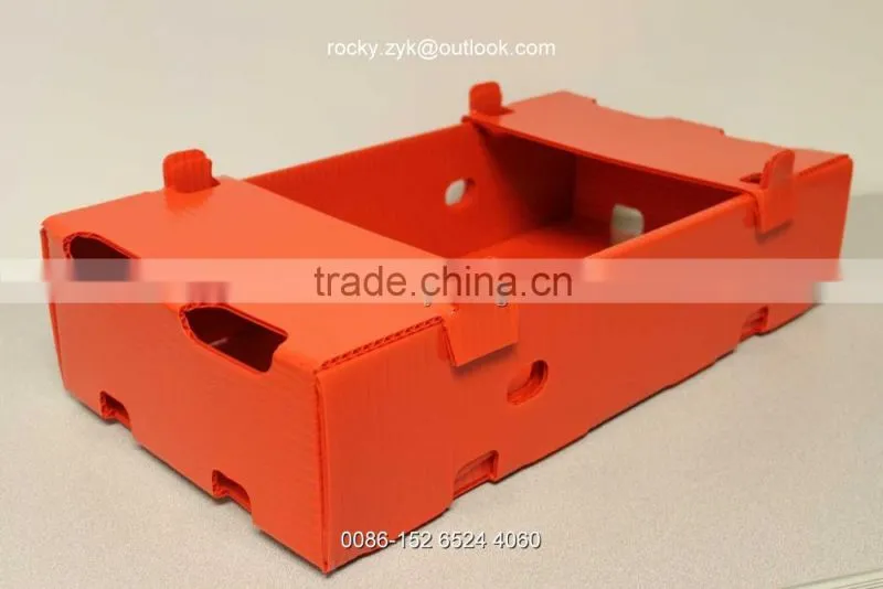 corrugated PP Apple packing case fruit storage carton packaging box