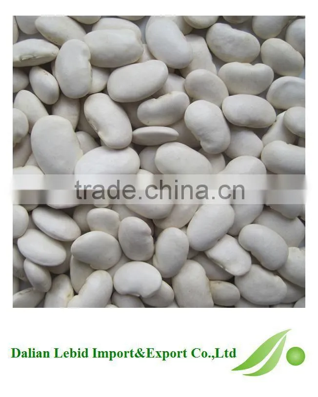 All Kinds Of Bean Cooking White Beans Competitive Price 2016 Crop Wholesale