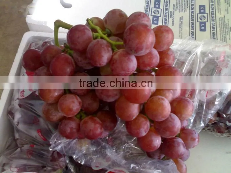 Fresh Yunnan red grape