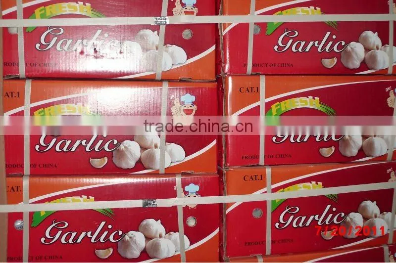 Double Corrugated Carton for Machine