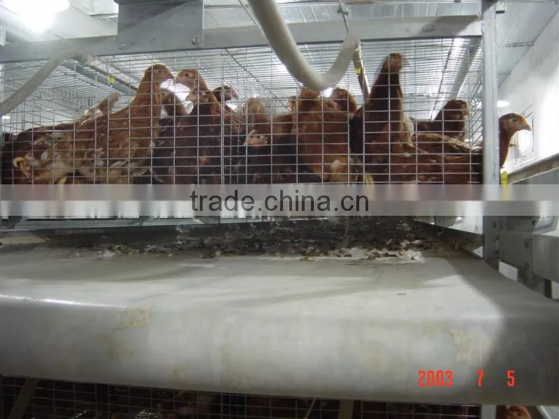 H-type Multi - tier Hot Galvanized Chicken Coop Device
