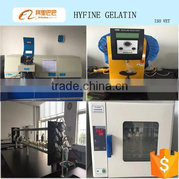 bodybuilding supplements protein/ hydrolyzed collagen powder