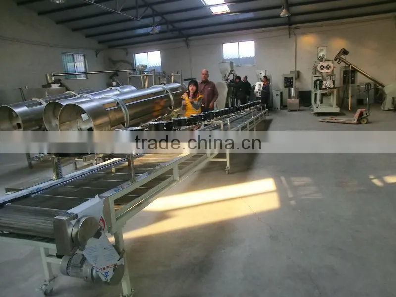 processing line/DP series modified/pregelatinized corn /potato /cassava starch making machinery/production plant