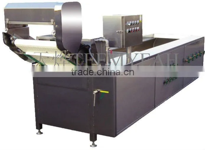 TW-306L Continuously Vegetable Washing Machine (Video) Factory