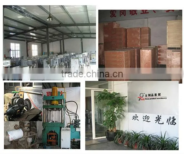 TG-250 tofu production line