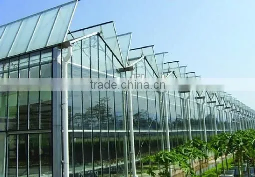 hot sale glass greenhouse shade green house design