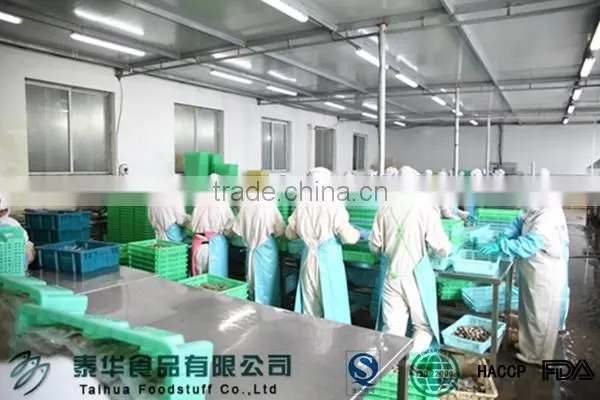 Penang Seafood Frozen Mussel Freezer for Seafood