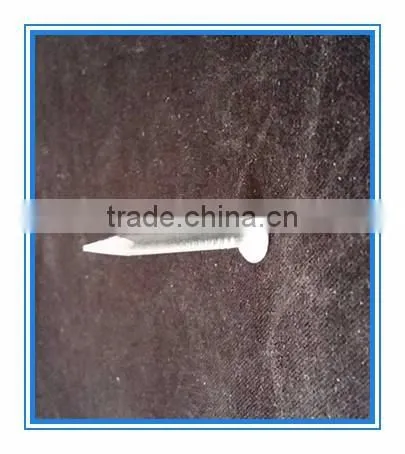 coil roofing,factory direct sale nails