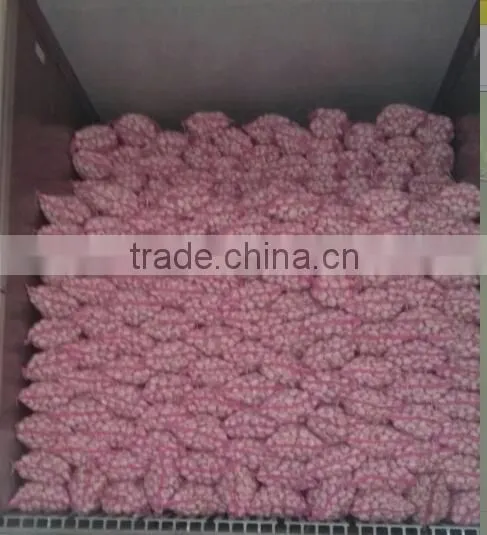 pure white garlic