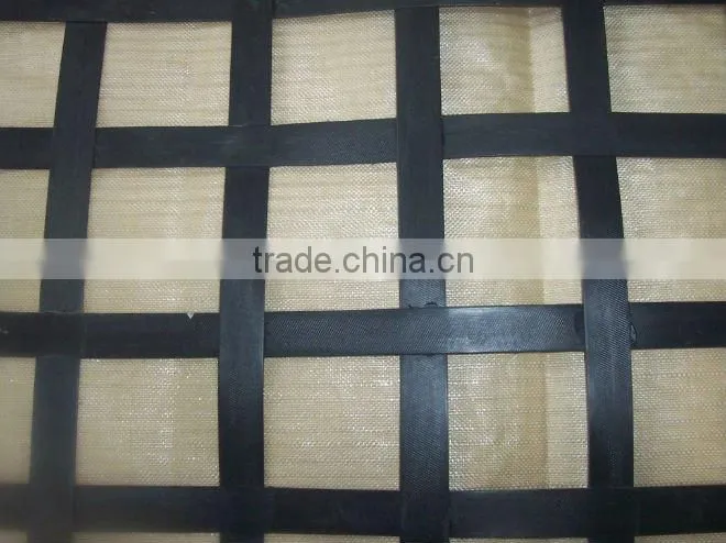 steel plastic geogrid(TGSG4040-120120)