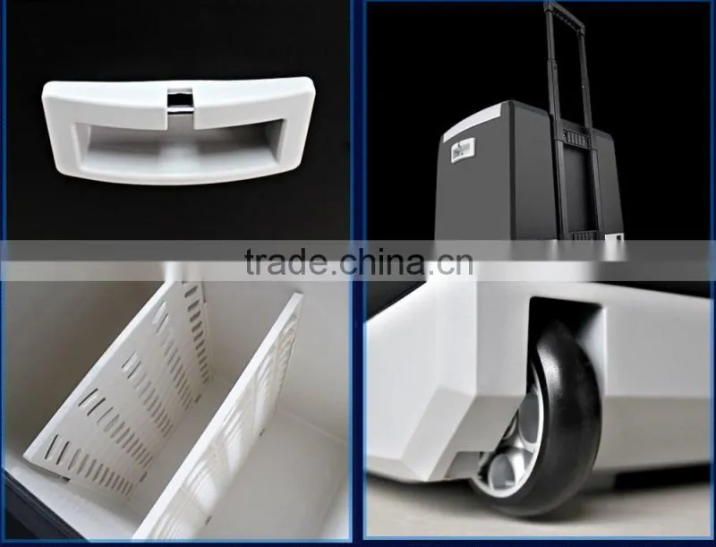 with wheels Thermoelectric cooler warmer hot cold mini fridge