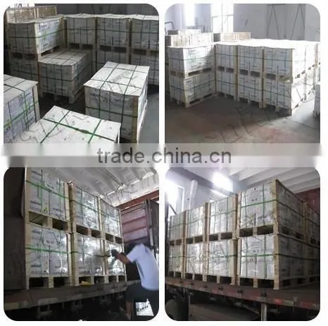 Steel Structure Materials Grade 4.8 bolt