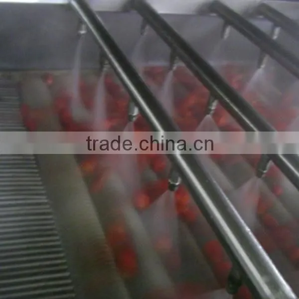PE bag packing IQF frozen strawberry from Liaoning