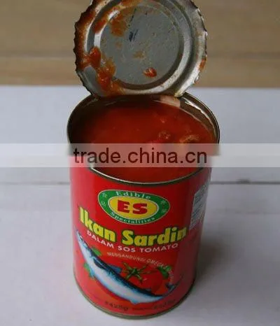 Canned Sardine Fish