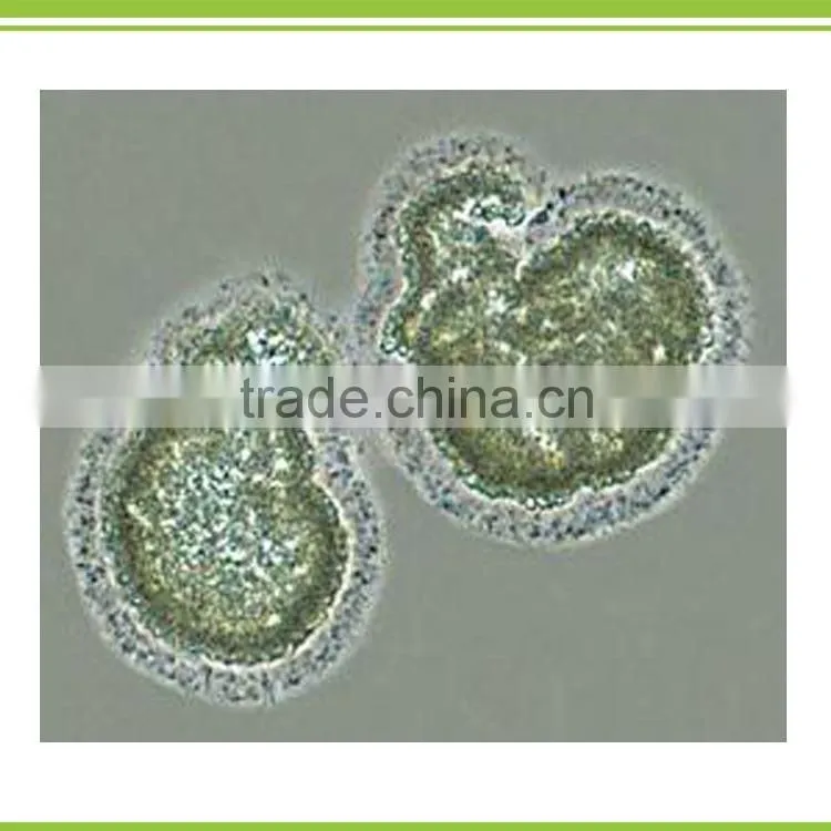 Bio organic amino acid fertilizer liquid with Trace element small package