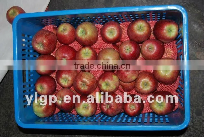 Red star apple