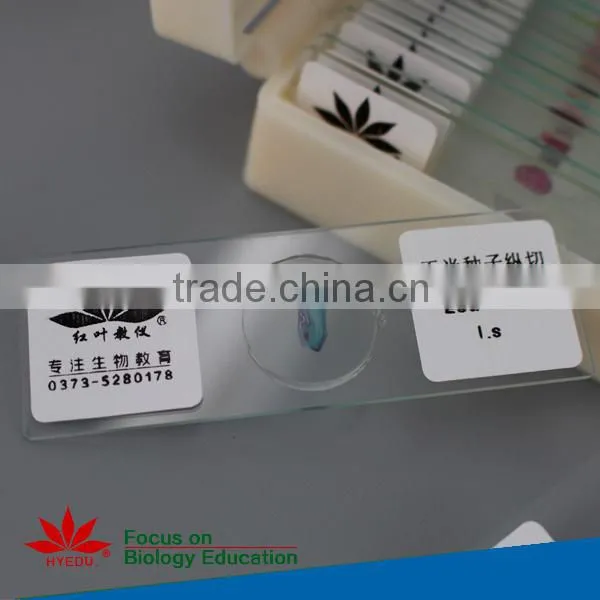 Botony slides Individual microscope prepared slide