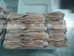 Frozen todarodes squid tentacles