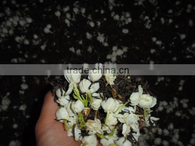 Viet nam Jasmine Green Tea