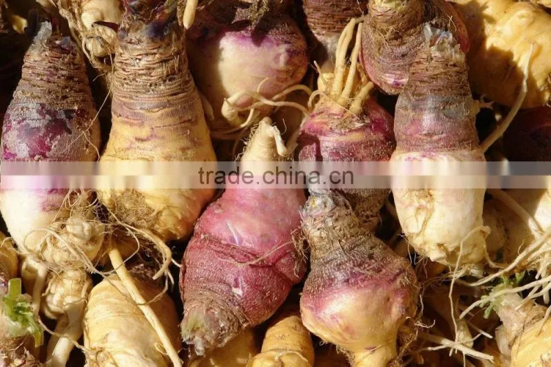 High Quality 40% Macamides Maca Root Extract Powder