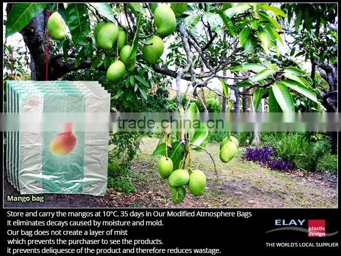 Mango bag