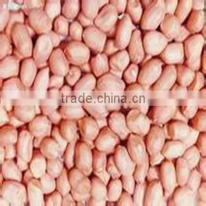 hot selling Hydraulic type oil extractor